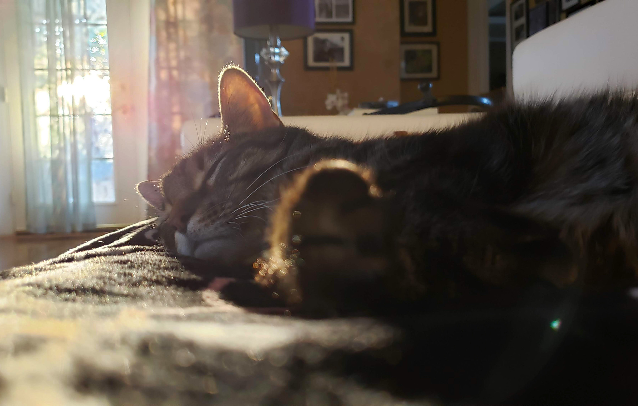 Tigger